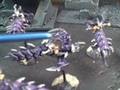 Blue Table Painting- Dark Eldar Wych Cult