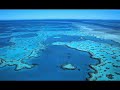 "Nemo Egg" by Thomas Newman - free flv video @ vwatch.tv