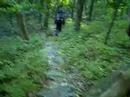 mid state trail hike: bear meadows climb