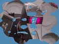 K 9 special tribute
