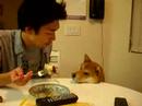 Lina & Kotaro/????????