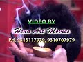 Vinod Arora - Maa Bhajan / Awahan -1