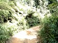 bokor road