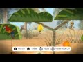 LBP Cologne Teaser