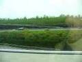 Maglev-train-from-do