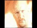 Stone Cold Steve Austin