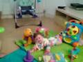 videos de Josie laughin