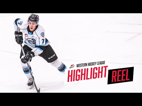 Carson Lambos - Winnipeg Ice Highlights 2019-20