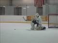 Farewell, Martin Biron