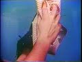 Retromercial: Handi Wipes Retromercial: Handi Wipes