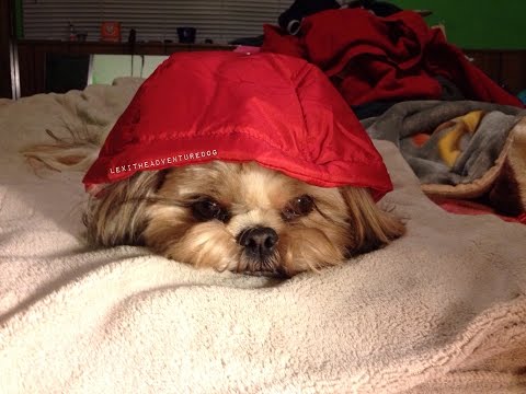 how to fasten a snuggie