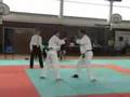 videos de Judo Michelon 15 Juin 2008 (Loire) 2/5