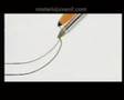 Bic