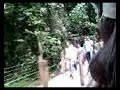 La Marquesa Forest Park(original cannopy tour) La Marquesa Forest Park(original cannopy tour)
