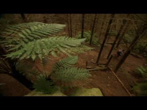 how to plan a trip to nz