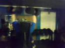 Strongman (Press) Training Strongman (Press) Training