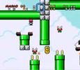 The New Mario World - Gnarly