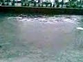 egi taft eugene1 (ondoy)