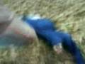 videos de MOV00729.3GP