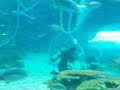 manila ocean park
