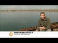 Oil pollution scars Azeri peninsula - 23 Oct 08 Oil pollution scars Azeri peninsula - 23 Oct 08
