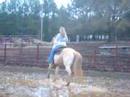 Dixie\