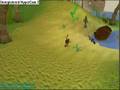 :::Step 8 Of Monkey Madness::: Part 2:::