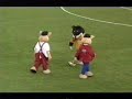 Wolfie fight