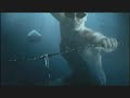 Campagne pour la sauvegarde des requins par Oceana.org