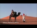 See Video