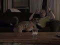 halarious-water-sleeping-prank.html