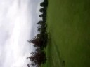 sky sports golf