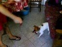Penny