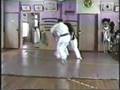 videos de SEIDOKAN KARATE DEMO OKINAWA 1996
