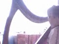 Mozart 40 on Harp Mozart 40 on Harp