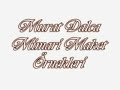 Akhisar-Sanat-Murat-