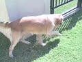 Lucky Encounters Lucky Encounters