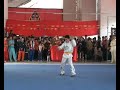 a presentation of the sek si sup ji set of bak mei by the sai kwong bak mei martial arts research association in china