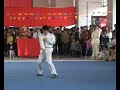 a presentation of the sek si sup ji set of bak mei by the sai kwong bak mei martial arts research association in china
