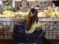 pánico en los mercados ~ polònia