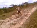 D20 Cabine dupla na trilha leve
