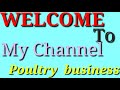 HOW TO START EGGS BUISNESS IN PAKISTAN(small business idea low investment ) -Views : 0