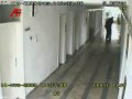 Murder Caught on Cctv
