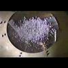 Dim - Dada (Home Videos)