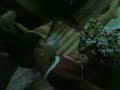 04012008(002).3gp
