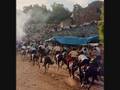 The Festivals of Sardinia