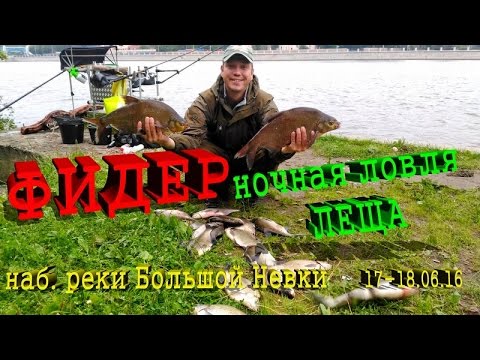 ловля фидером в ночное время ловля фидером в ночное время