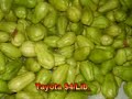 Precios Plaza Agropecuaria Arseni Ure�a