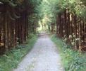 HERLISBERG SCHWARZENBACH BEROMUENSTER