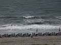 Myrtle Beach, South Carolina, Beach, Vacation